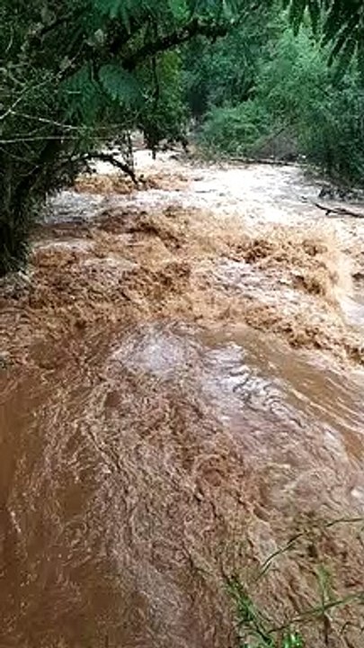 Corpo em decomposição é encontrado em rio após temporal em SC; veja vídeo