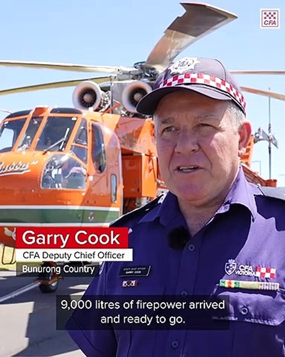 'Bubba' the Erickson Sky Crane