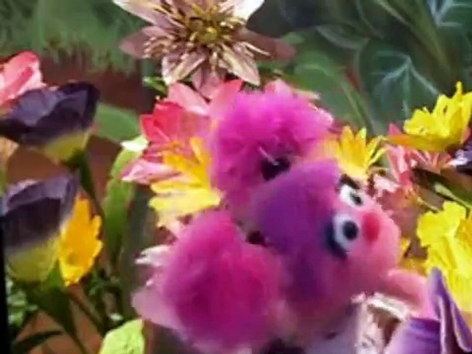 Abby in Wonderland Abby in Wonderland