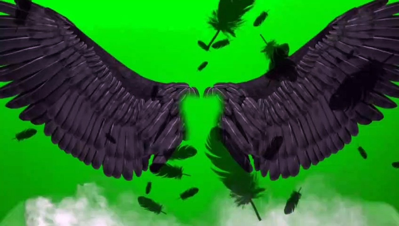 Wings Green Screen Video (1)