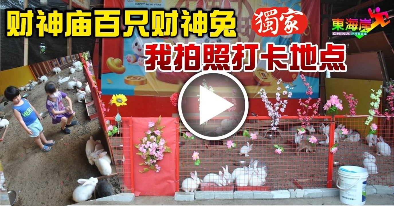 财神庙百只财神兔  成拍照打卡地点