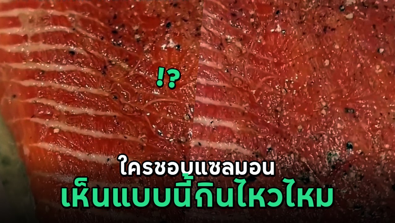 เอาปลาแซลมอนปรุงอาหาร ด้วยเครื่องซูวี ที่อุณหภูมิ 110 ํF สิ่งที่เห็นทำเอาสยองมาก