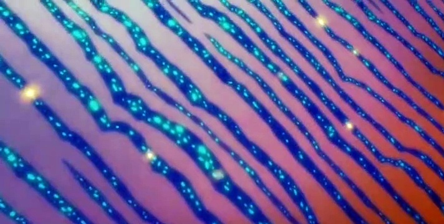 Samurai Jack S05 E004 - XCV