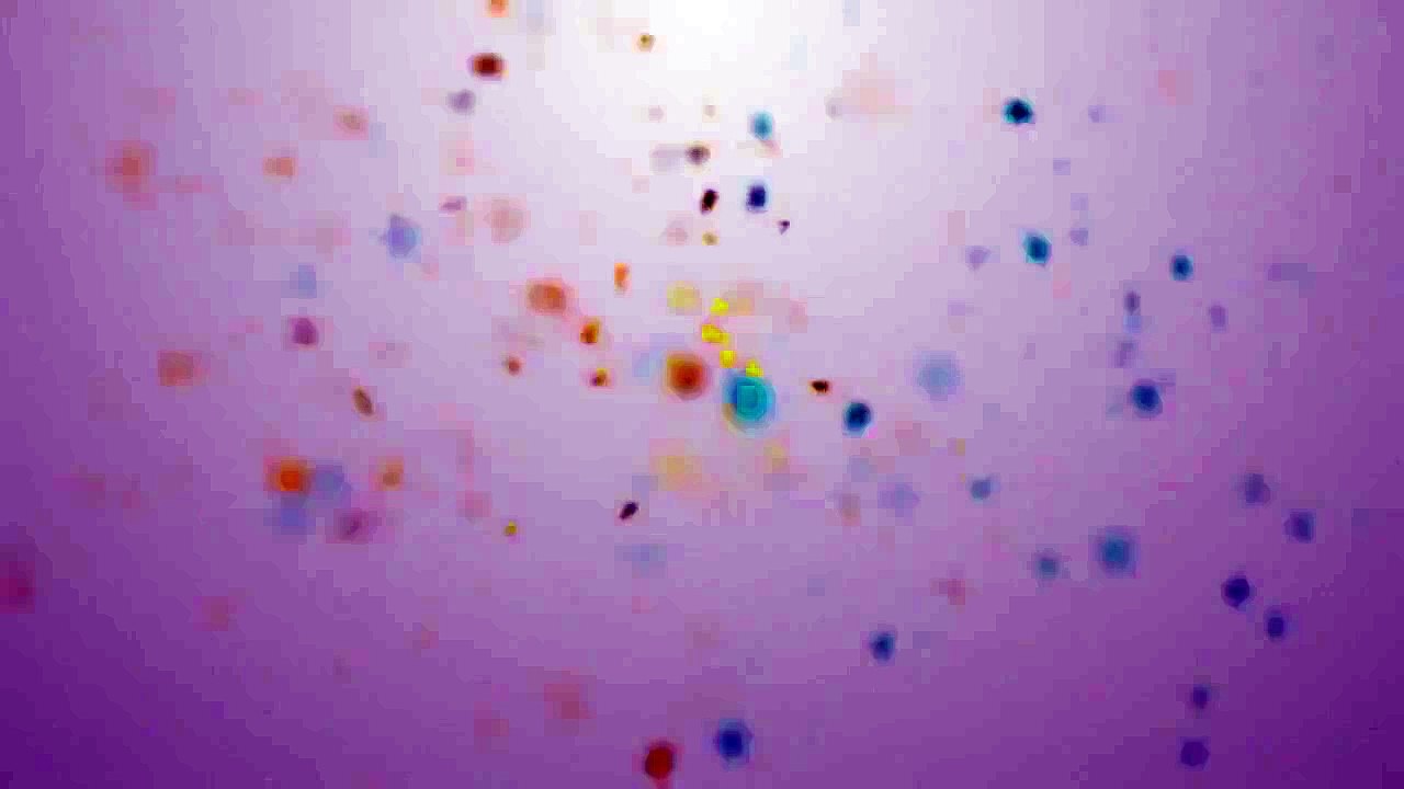 Lovers in Bloom - Ep84 HD Watch