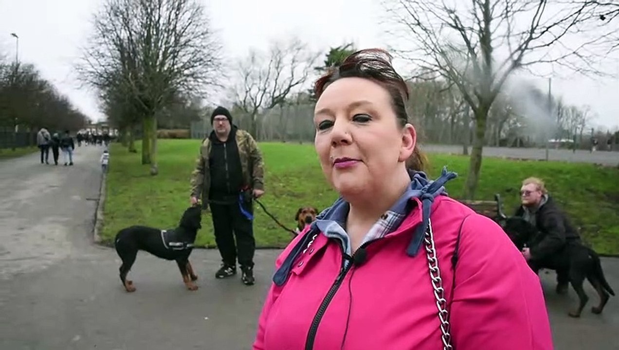 The Rottweilers of Lancashire group dog walk