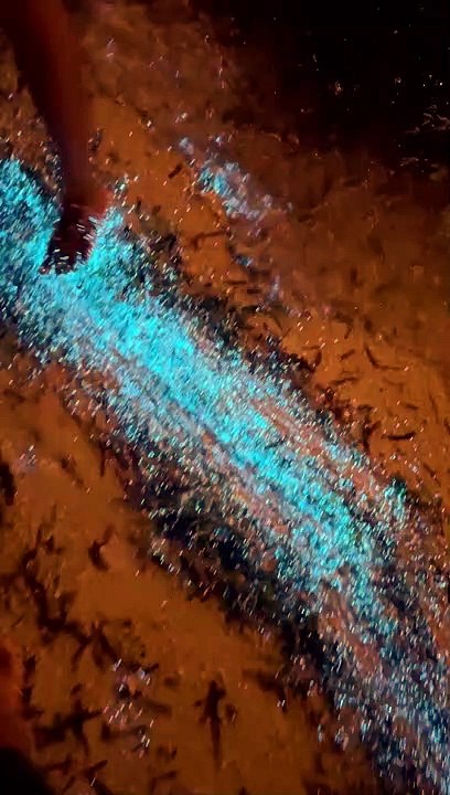 Bioluminescent Plankton Glow on Beach in the Maldives