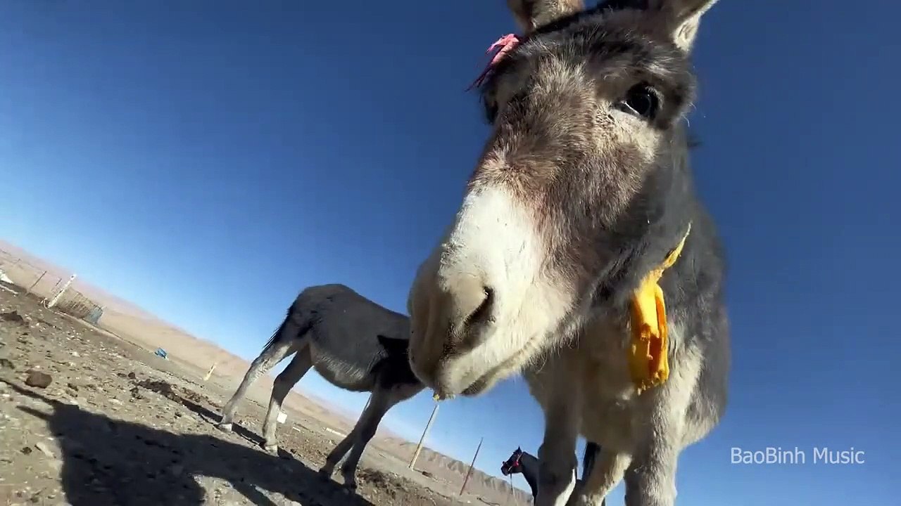 Track1 Bass boosted Music 2023 Car music