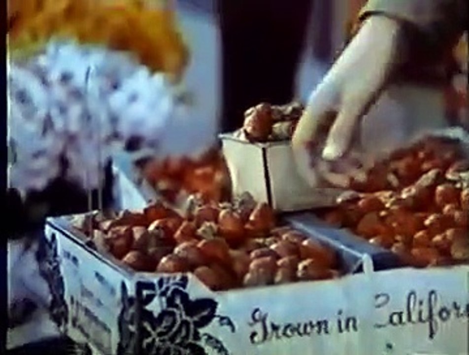 The Strawberry Statement | movie | 1970 | Official Trailer