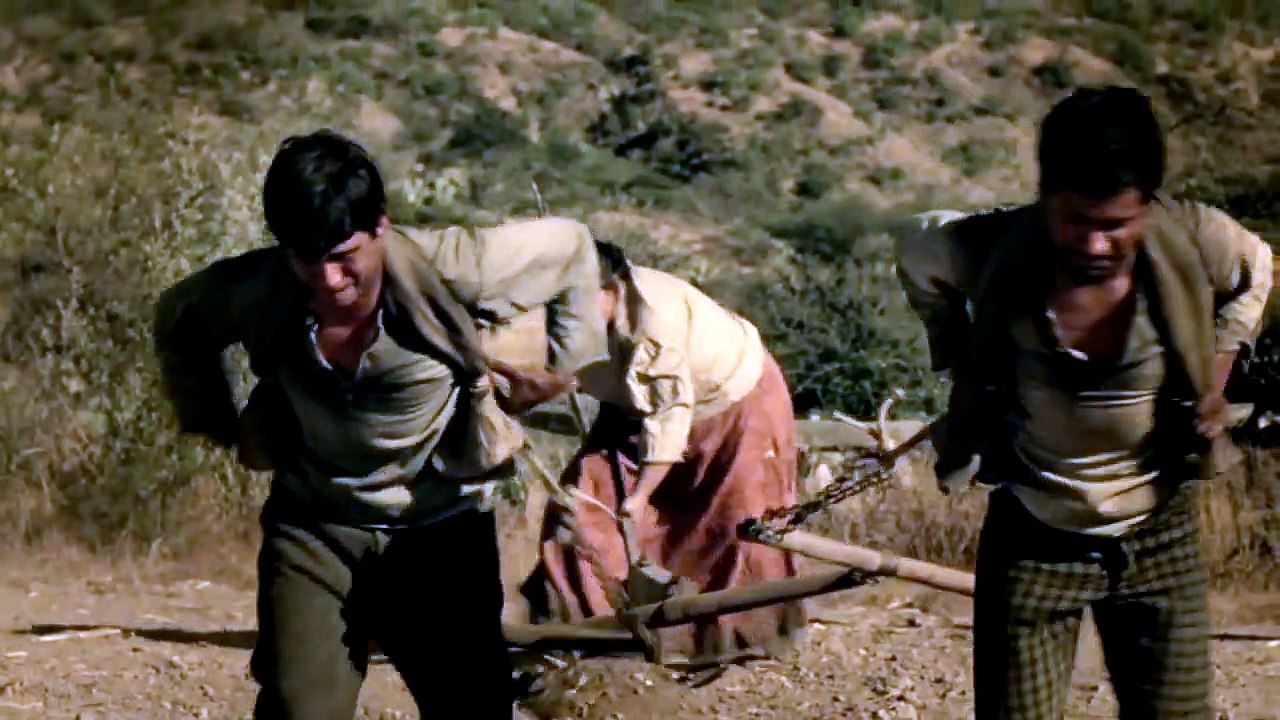 The Zebra | movie | 2013 | Official Trailer