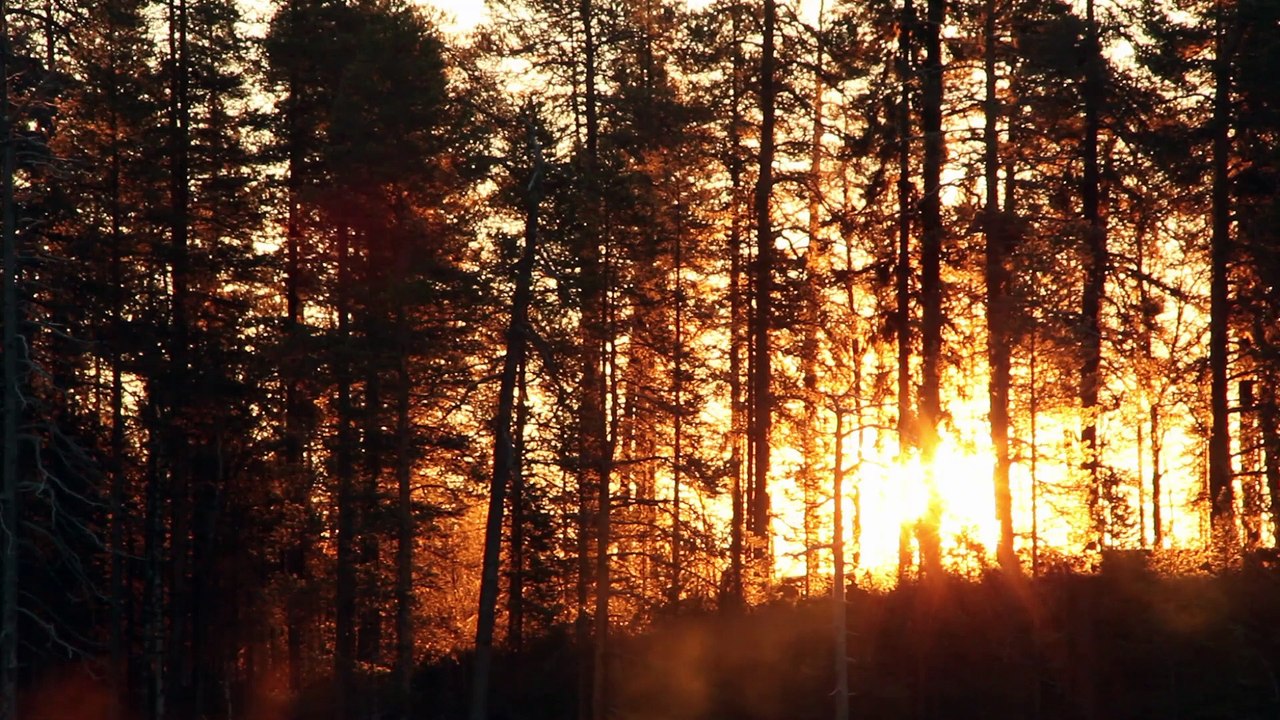 Aatsinki: The Story of Arctic Cowboys (2013) | Official Trailer, Full Movie Stream Preview