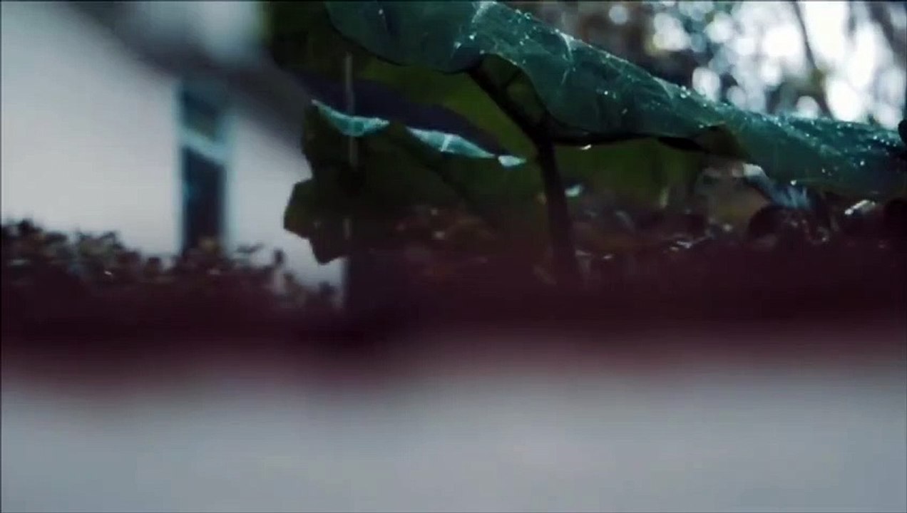 nature 4k video - Nature Videos 4k