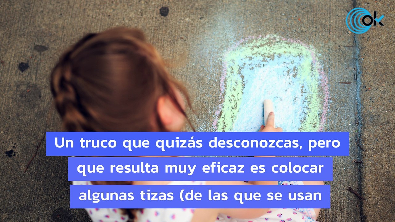 El mejor truco de las tizas para acabar con la humedad en las paredes de casa