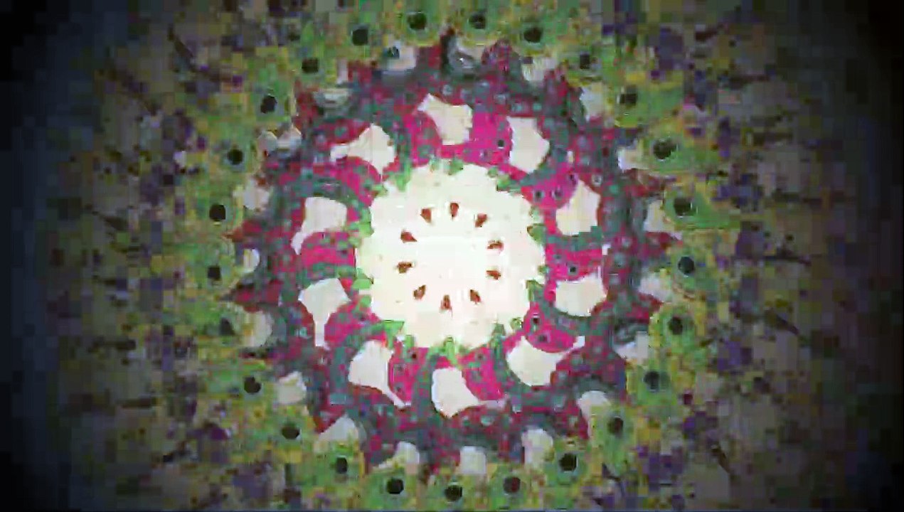 And And (2011) Official Trailer 🎬 – Mesmerizing Animation & Music by Mirai Mizue