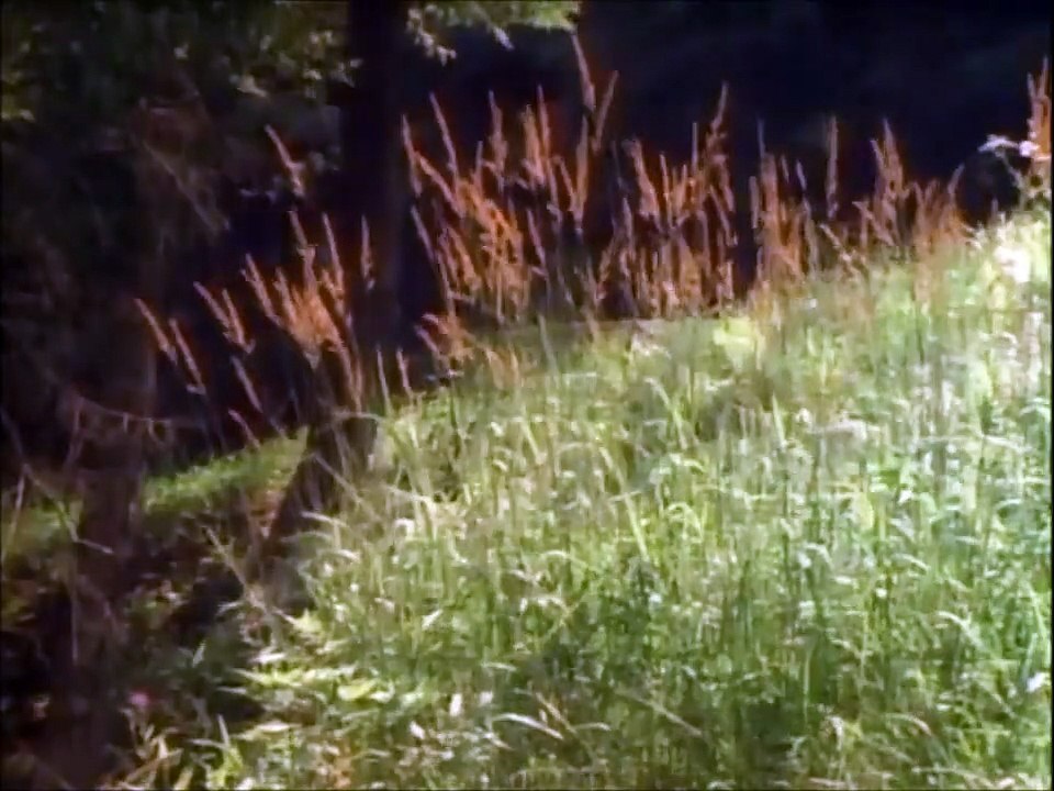 Tales from the Darkside | show | 1984 | Official Clip