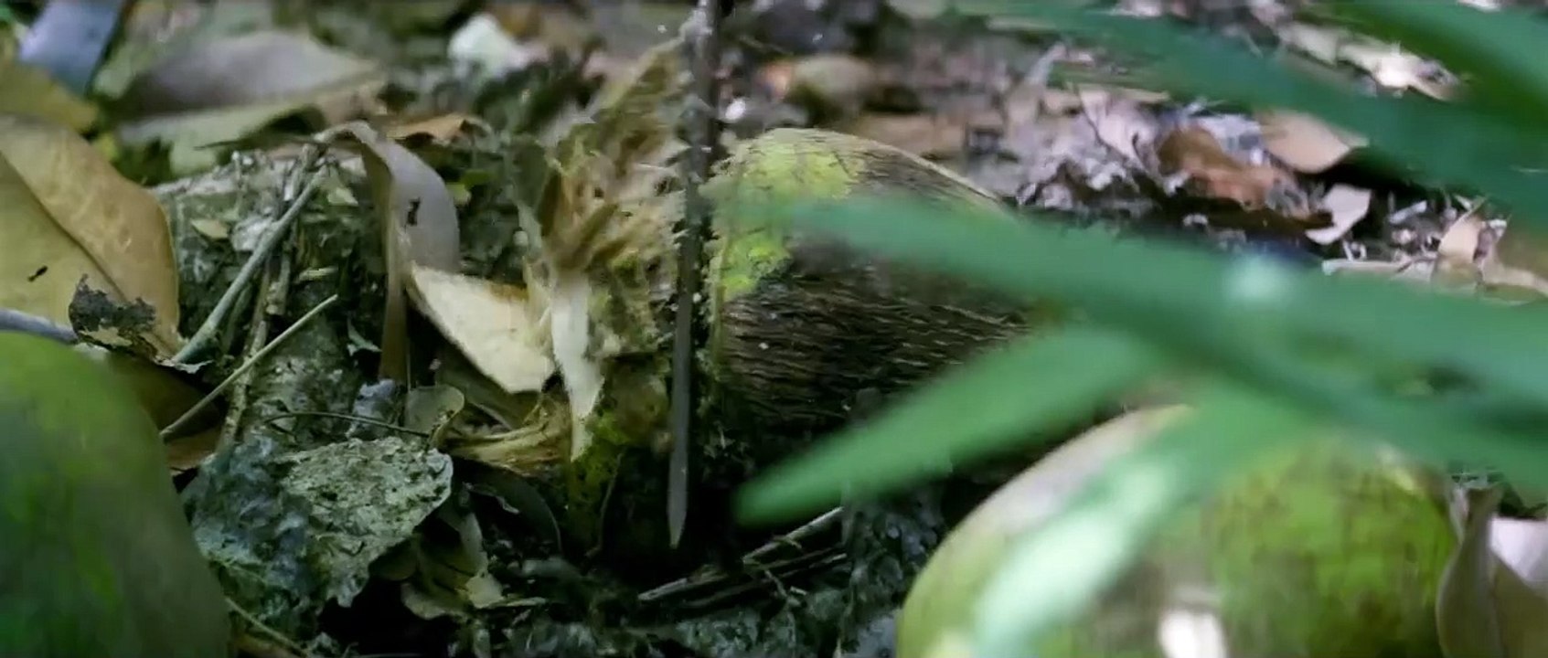 Добыча | movie | 2019 | Official Trailer