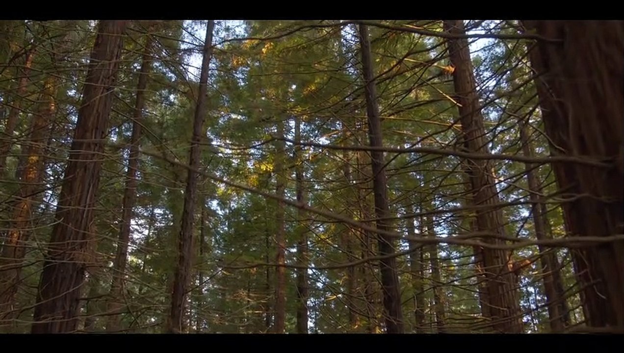 That's how Broken Flesh Was Made | movie | 2021 | Official Teaser