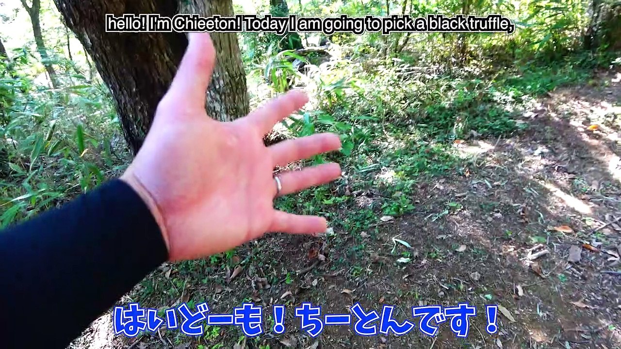 実は近所でも天然トリュフは沢山採れる-Truffles In Your Neighborhood-