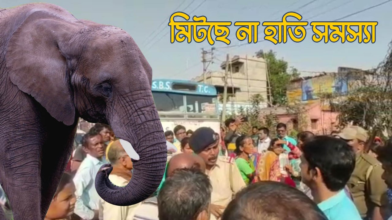 মিটছে না হাতি সমস্যা, স্থায়ী সমাধান চেয়ে পথ অবরোধ বাঁকুড়ায়