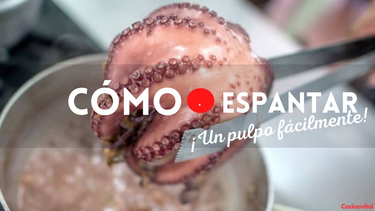 Aprende cómo “asustar” un pulpo y quede muy tierno y rico