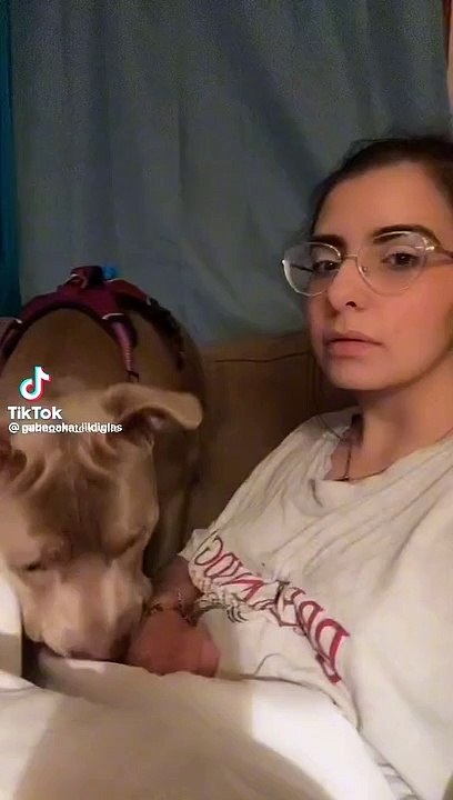 Try barking at your dog and get it reactions