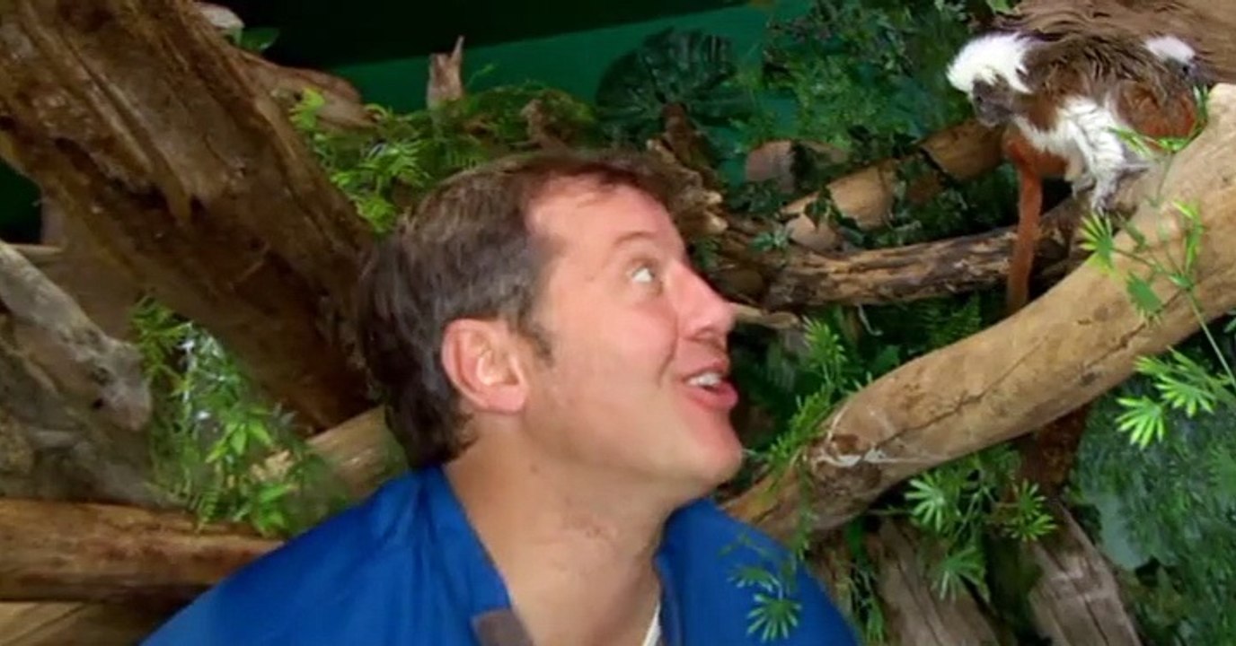 Wild Kratts Wild Kratts S01 E024 – Kerhonk