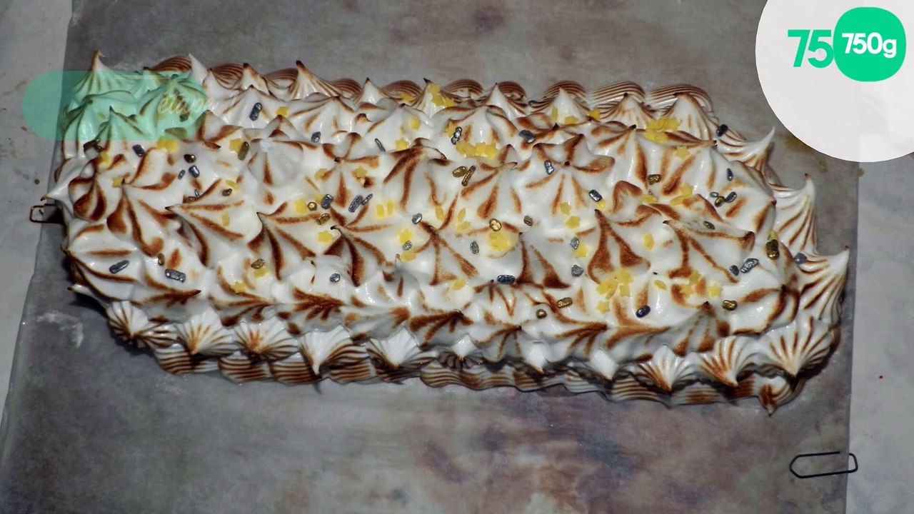 Bûche des neiges