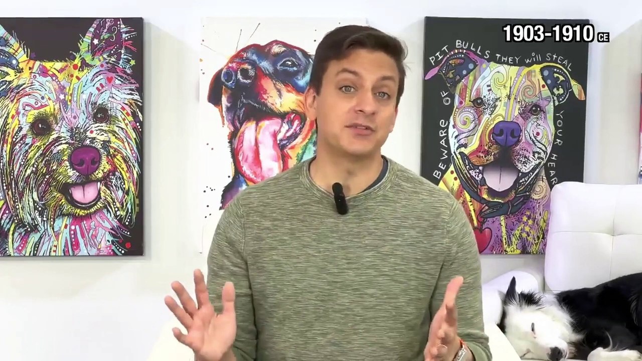 dog training |  puppy training