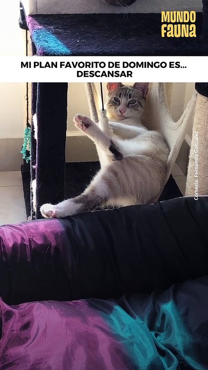 Mi segundo nombre es 'Pereza' y no lo pienso discutir con nadie