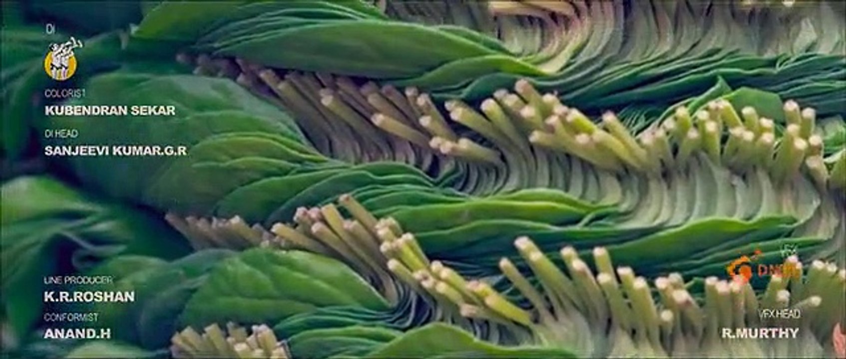 Pattathu Arasan 2022  Tamil HQ HDRip Movie Part 1