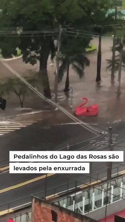 TEMPO | Um dos pedalinhos que fica no Lago das Rosas, no Setor Oeste, foi levado pela enxurrada após o lago transbordar.