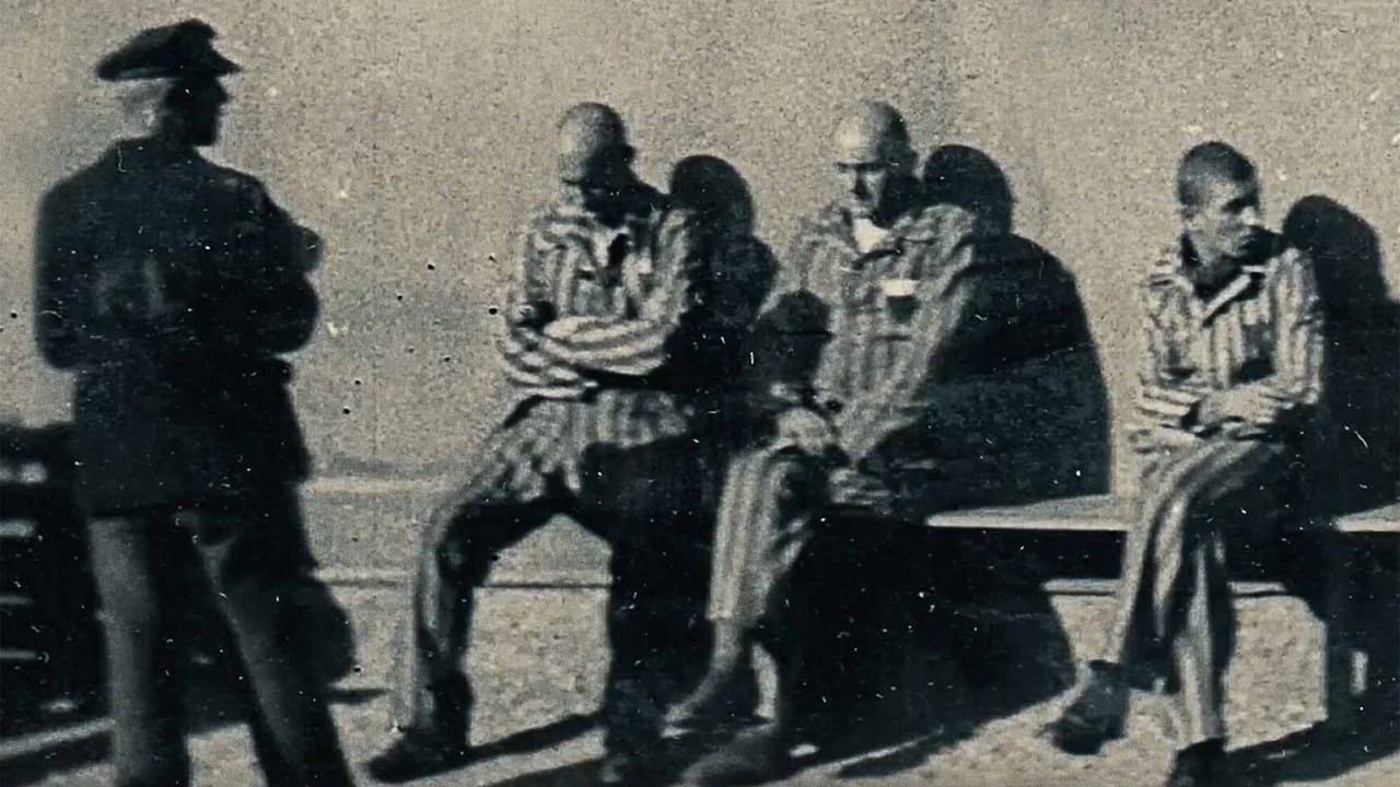 From Where They Stood (2023) | Official Trailer, Full Movie Stream Preview