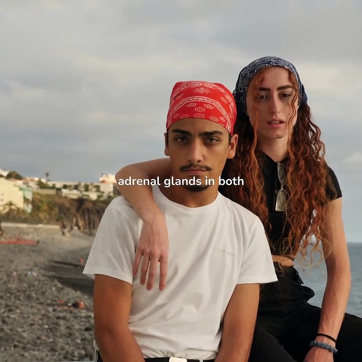 what-is-testosterone-and-what-are-its-benefits-and-functions-v1