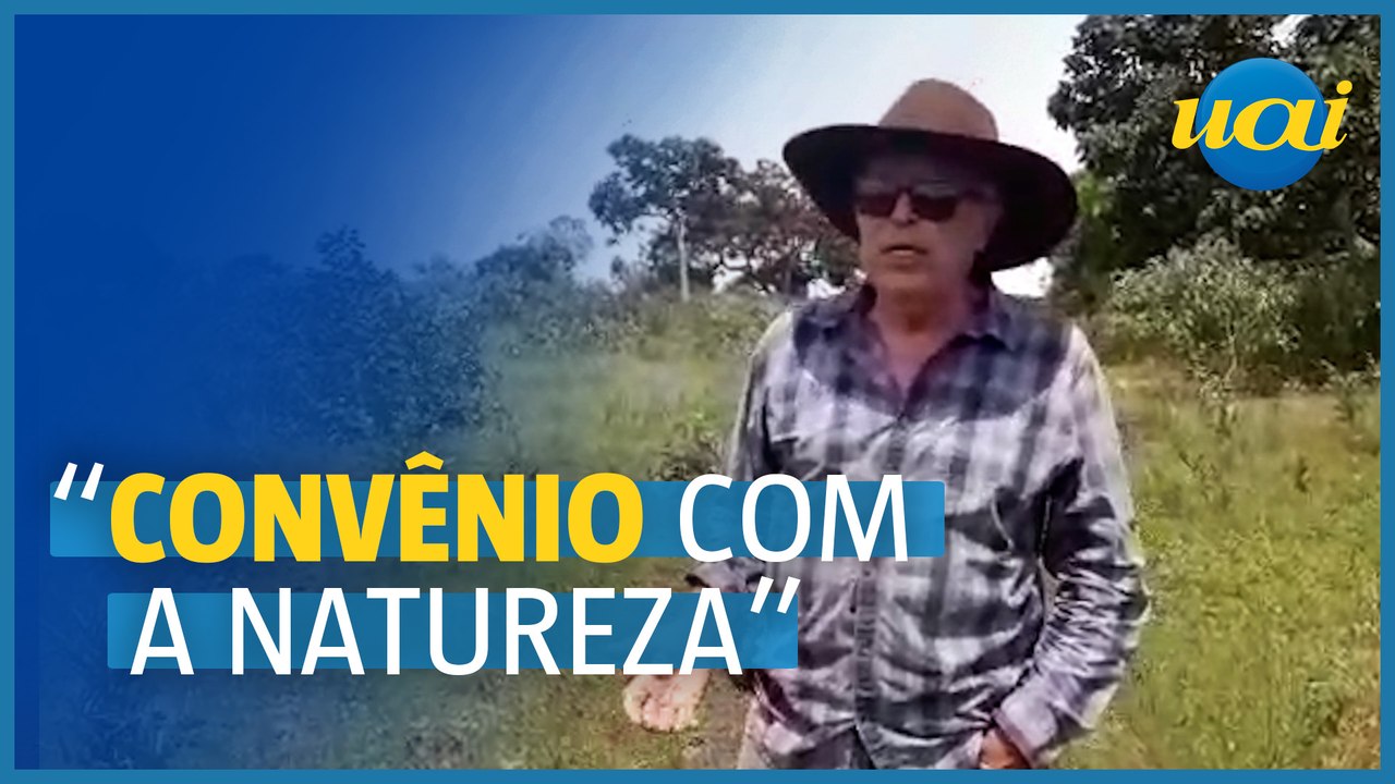 Pequi: por que a árvore virou xodó de fazendeiros?