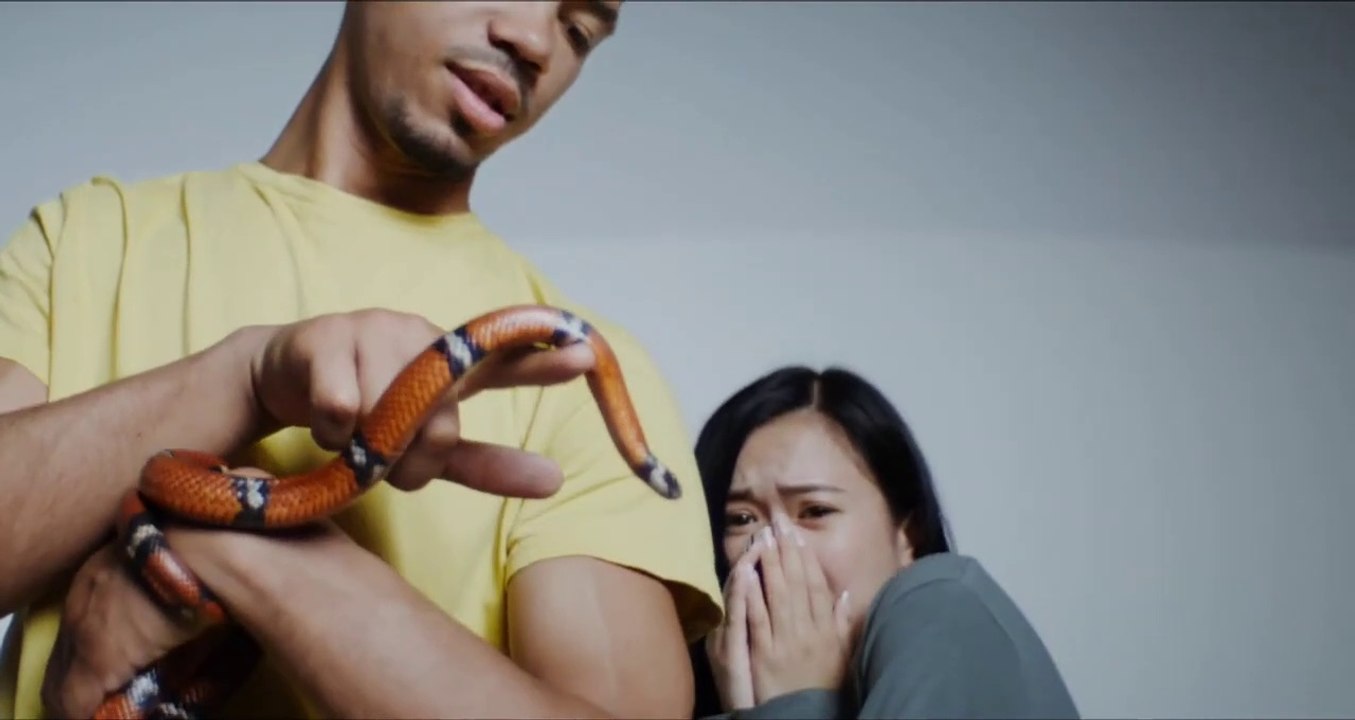 Why Snake can't a be a Pet | Embed Daily | Latest Video