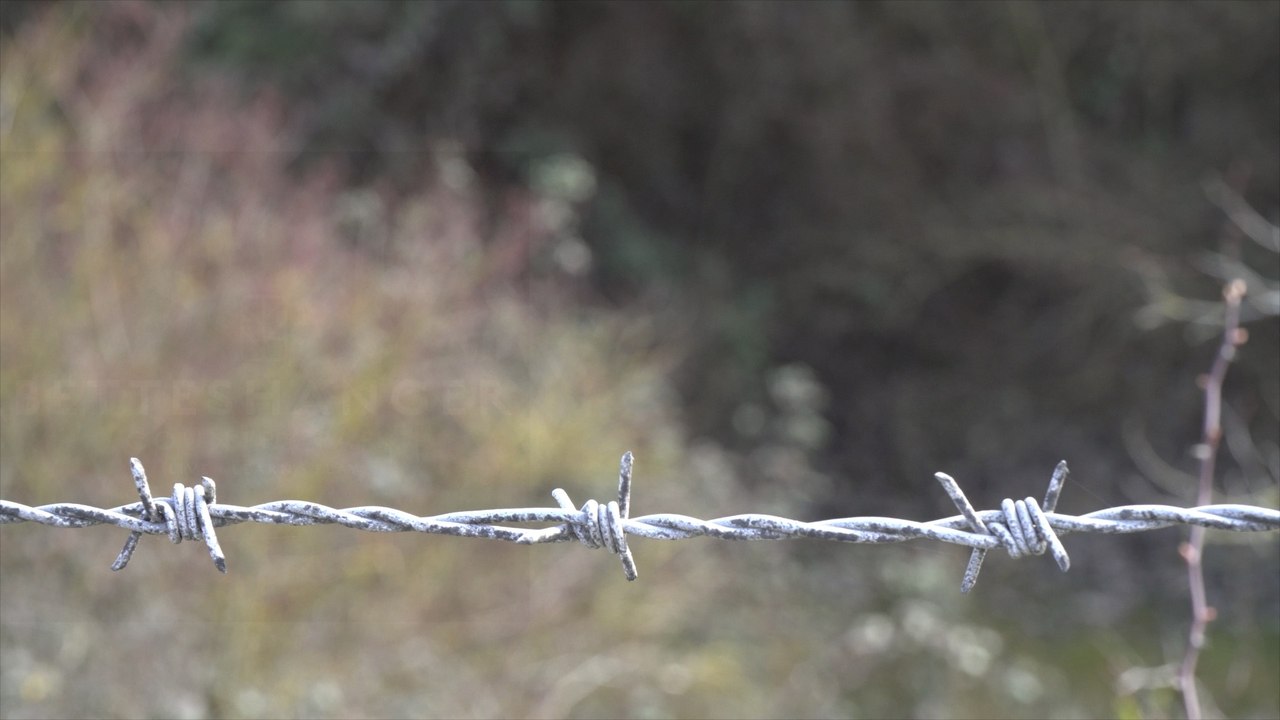 Deal campaigners battle to prevent nature park development