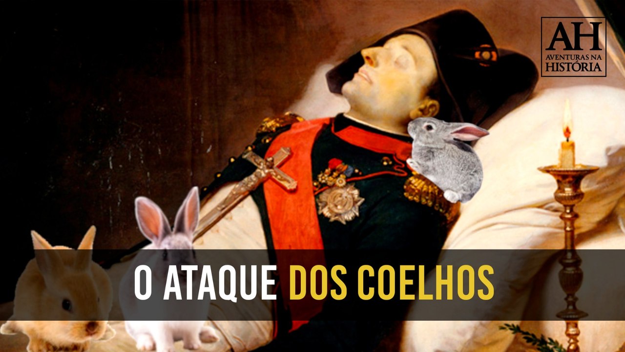 Napoleão Bonaparte Já Foi Atacado por Coelhos? Surpreenda-se com Essa História! 🐇