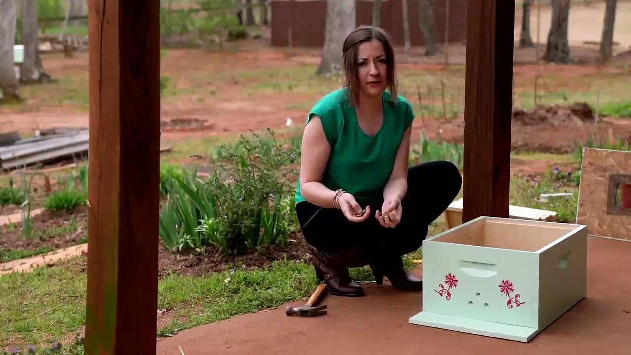 Purchase of Bees (Nucleus)? What You MUST Understand...