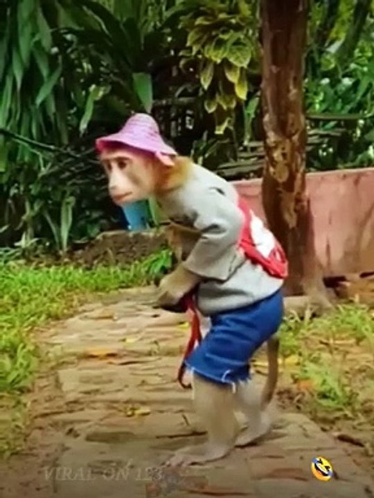 VIDEO LUCU SEDUNIA BIKIN NGAKAK - KOMPILASI LUCU #videolucu # kompilasilucu #funny