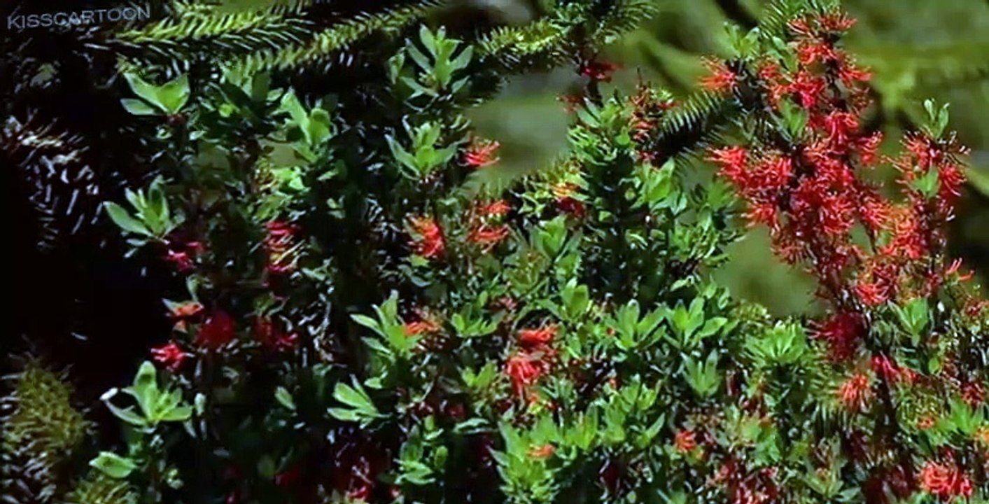 Walking with Dinosaurs Walking with Dinosaurs E006 – Death of a Dynasty