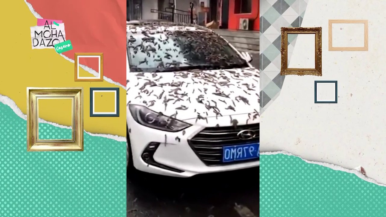 ¡Llueven gusanos en China!
