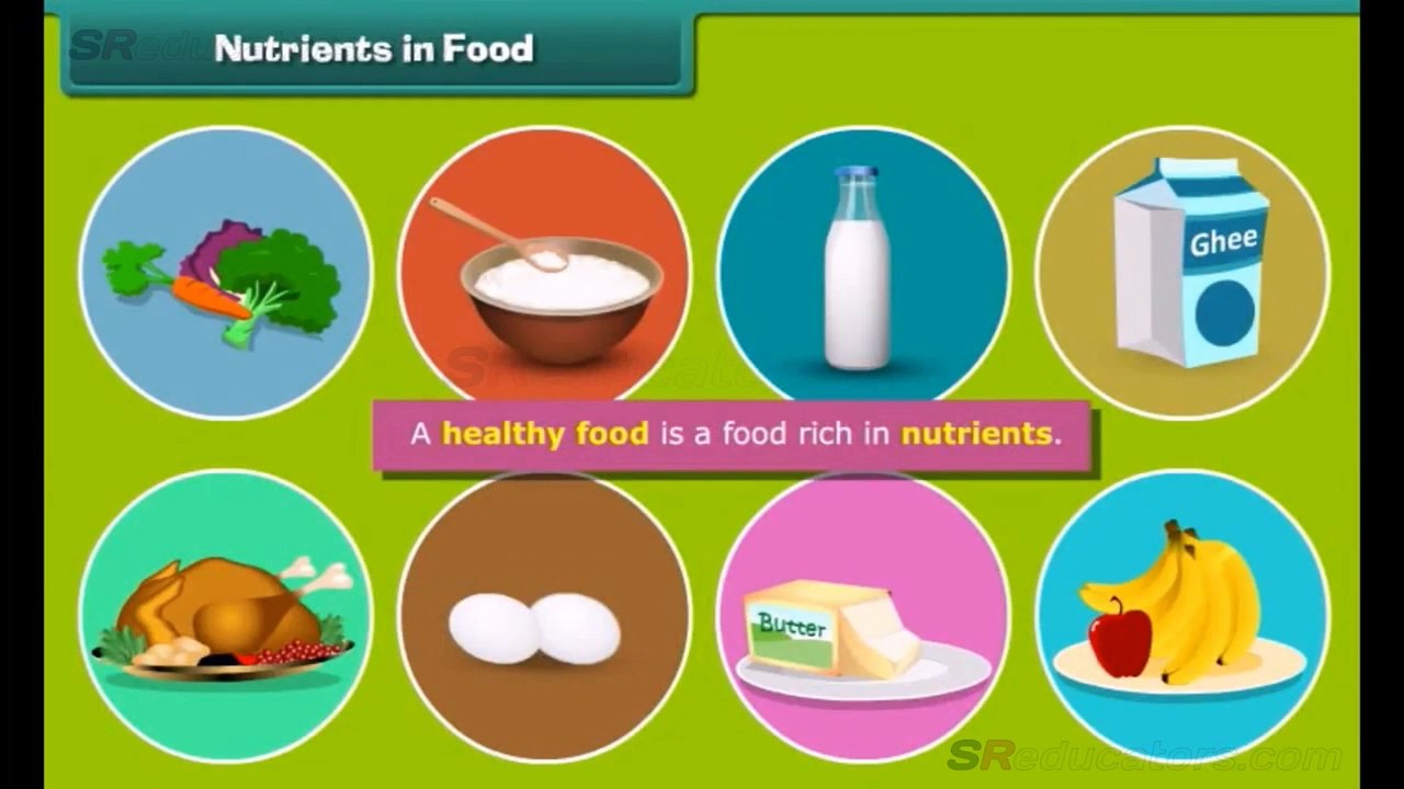 class-5-science-food-and-health