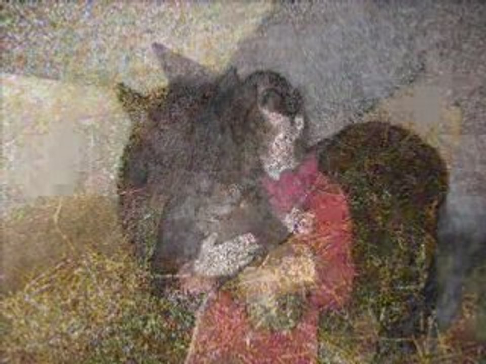 Montage video sur Alida <3