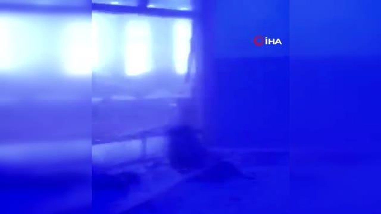 Afganistan'da bombalı saldırı: Balkh Valisi hayatını kaybetti