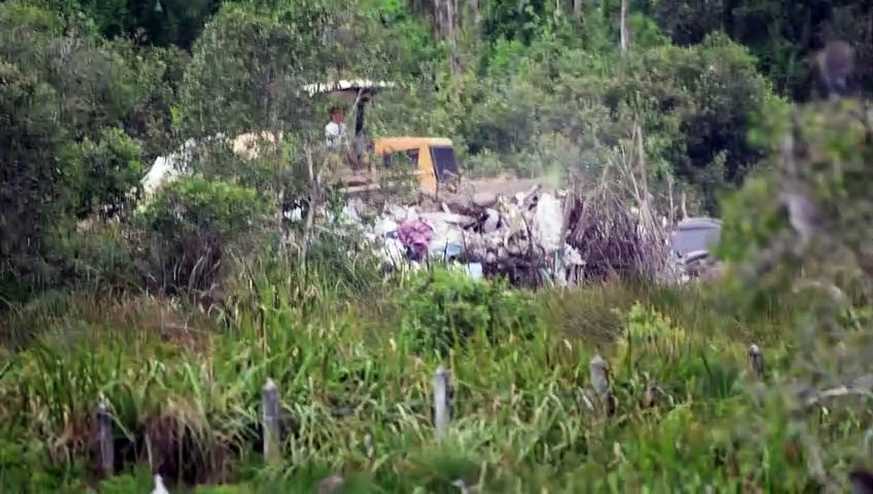 工业垃圾乱丢岂有此理！  观鸟区  乌烟瘴气
