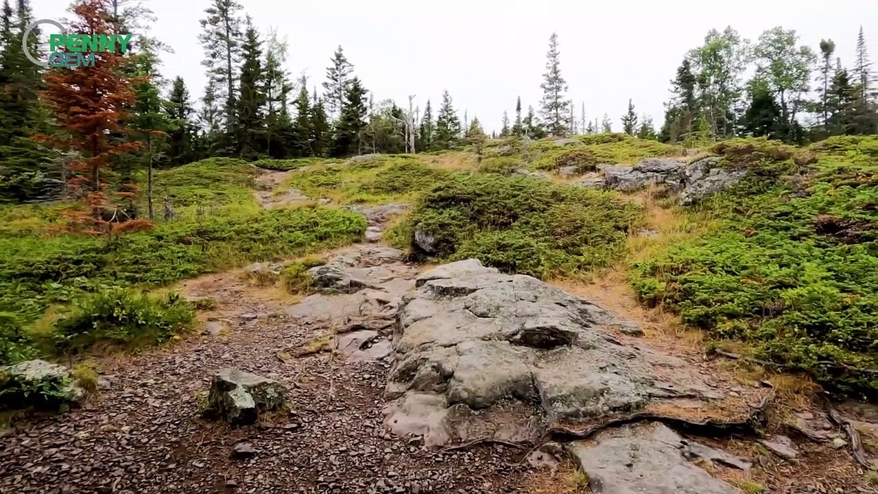 Planning a National Park Vacation This Summer? Here's Where You'll Find the Thinnest Crowds