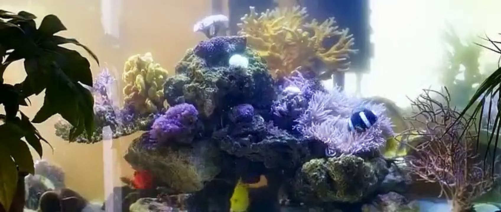 Mum's List (2016) Watch HD