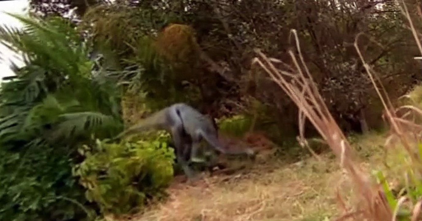 Prehistoric Park Prehistoric Park E004 Saving the Sabretooth