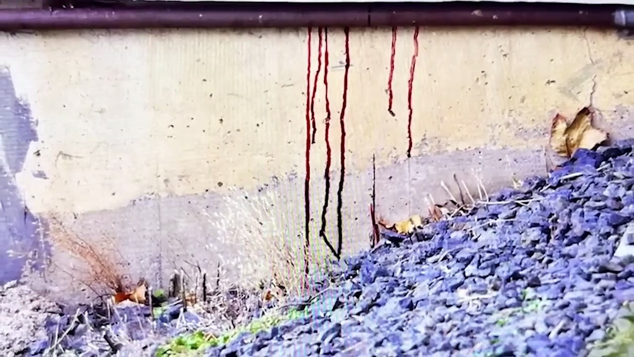 Details Revealed  Bryan Kohberger and The 2022 University of Idaho Murders