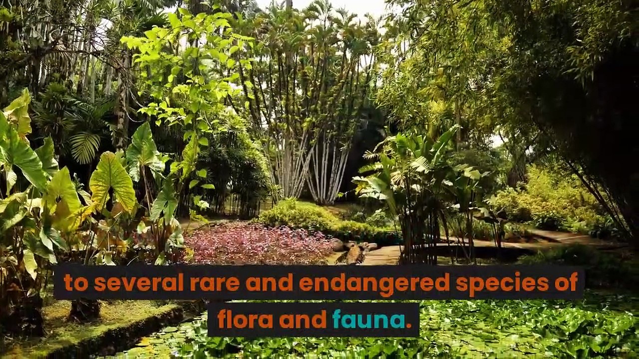 Meghalaya - Rainiest state of India _Facts about Meghalaya