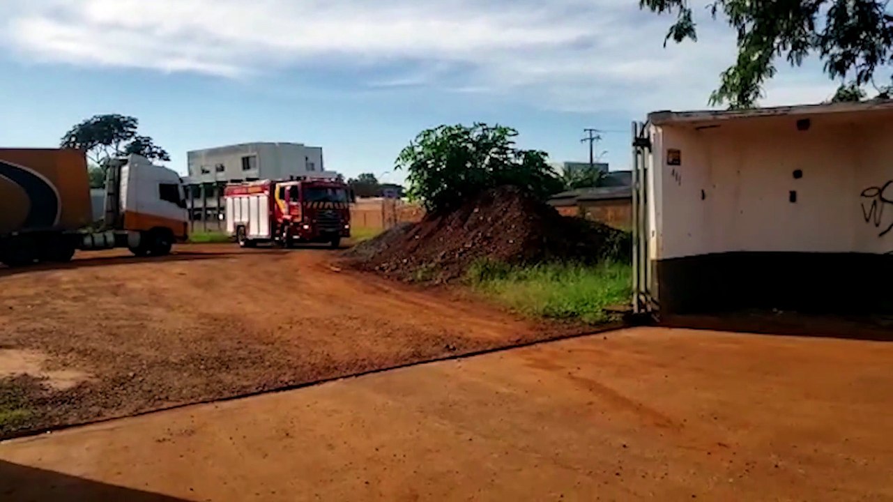 Bombeiros auxiliam em resgate de cachorro machucado no Guarujá